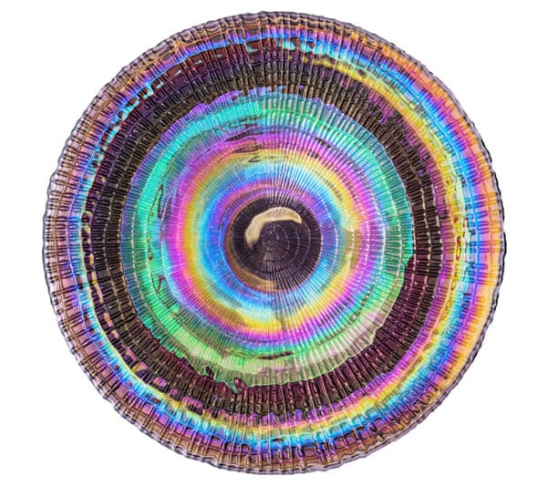 Iridescent Chameleon