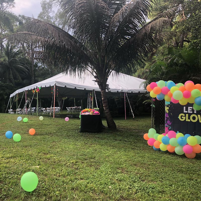 Outdoor Party Ideas
