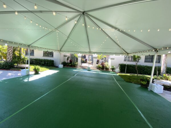Green Astro Turf