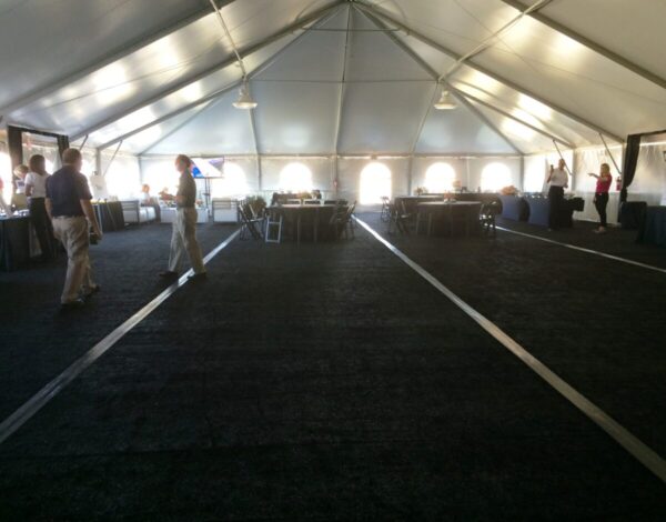 Plywood Flooring with Astroturf